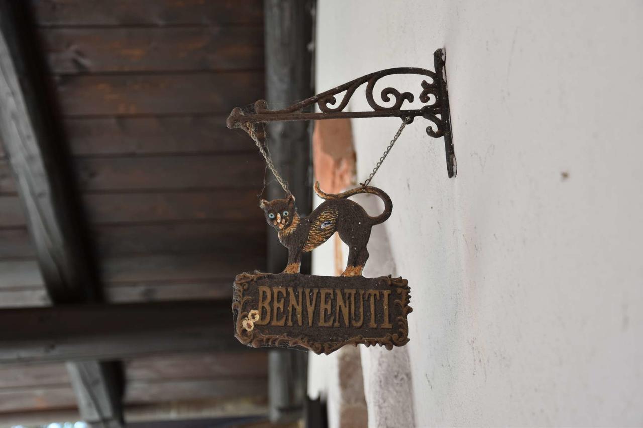 B&B La Dolce Vita Priocca Экстерьер фото
